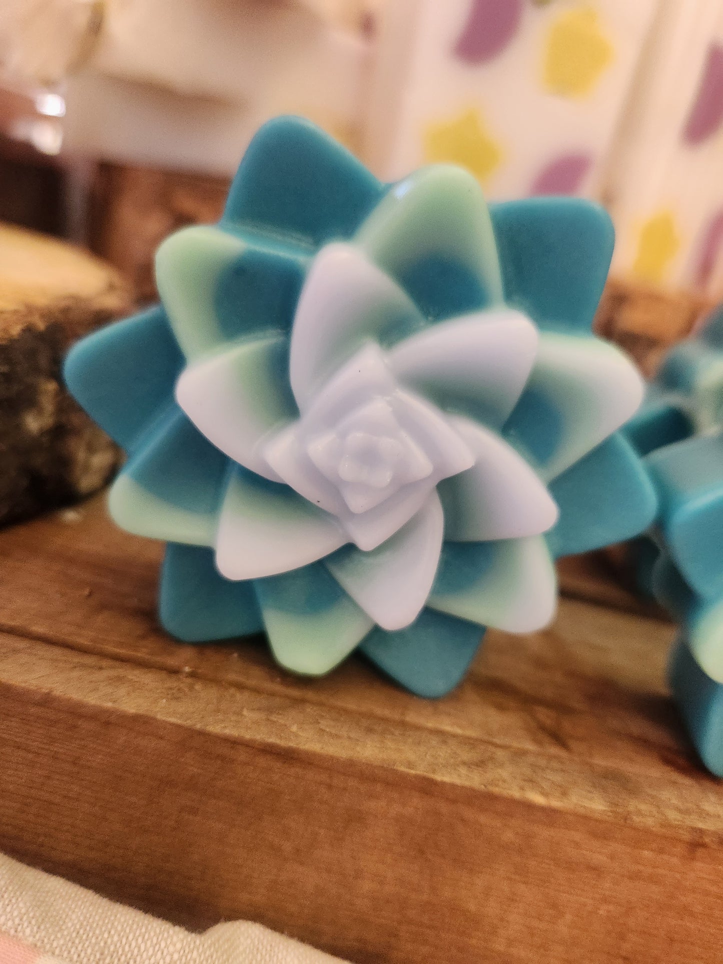 Emerald Agave Succulent Bar