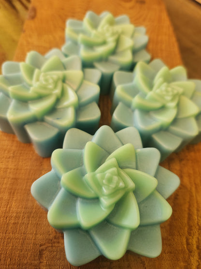 Emerald Agave Succulent Bar